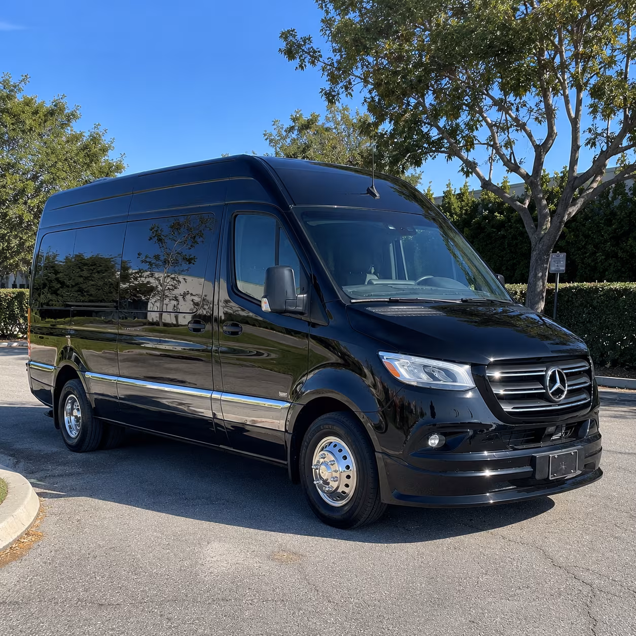 elizabeth sprinter van with driver